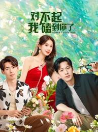 對不起，我磕到你了(全集)
